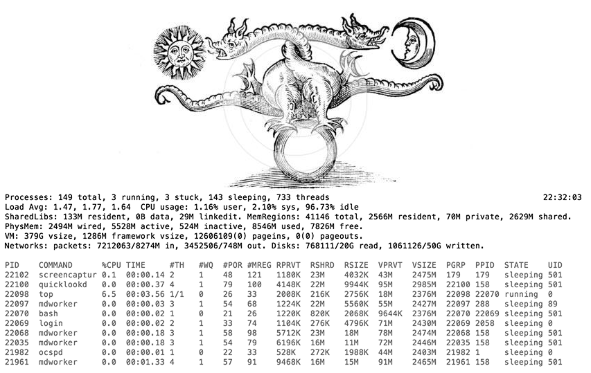 Terminal Dorkshop